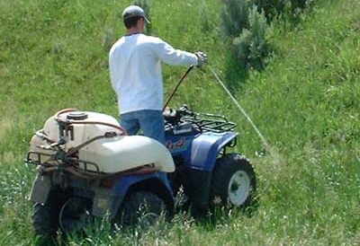 weed control